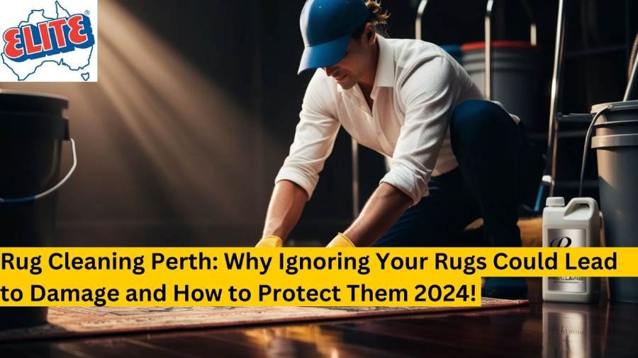 Learn how professional rug cleaning in Perth can prevent damage and extend your rug’s life in 2024