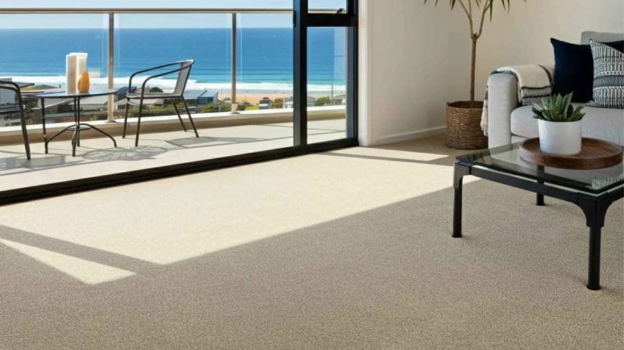 Carpet cleaning challenges and solutions in Perth apartments and houses
