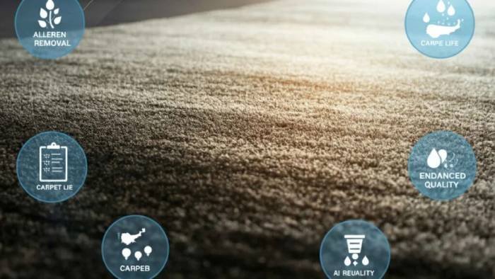 Looking at the Prices: Bissell Carpet Scrubber vs. Hiring a Pro to Clean