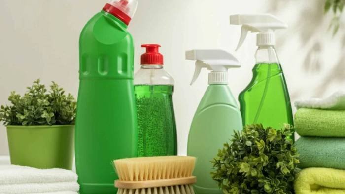 Eco-Friendly Cleaning Solutions