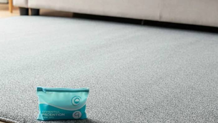 Essential Tools and Supplies You’ll Need