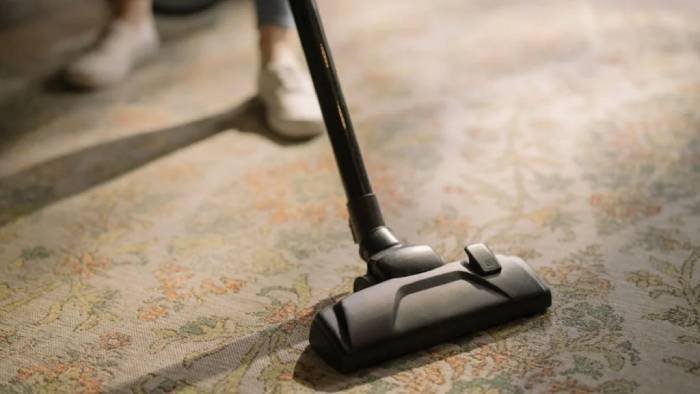 How to Maintain Your Carpets Between Professional Cleanings