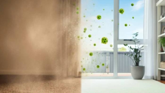 Knowing the Basics of How to Clean Carpets