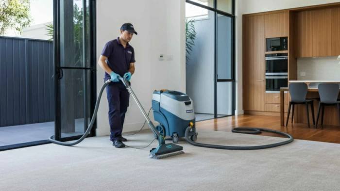 Maintaining clean carpets between professional cleanings