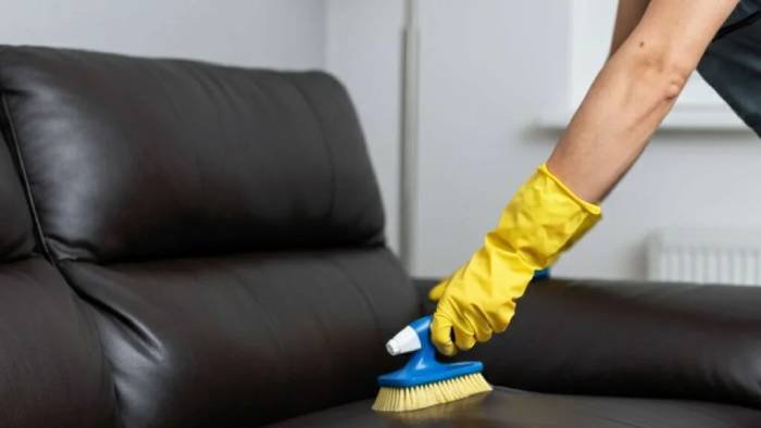 What Is Best for You: Doing It Yourself or Hiring a Professional to Clean Your Upholstery