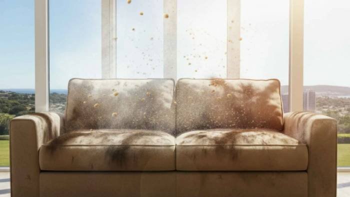Why It’s Important to Clean Upholstery in Perth
