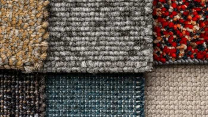 Carpet being protected from pet stains and odors using preventive cleaning methods