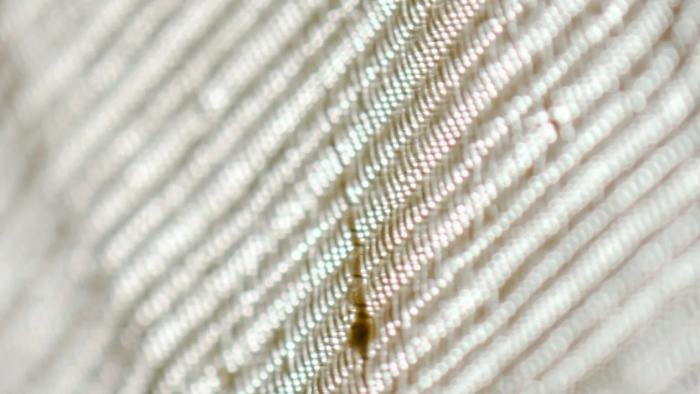 Oil stain on fabric using step-by-step cleaning techniques, demonstrating safe and effective stain removal methods