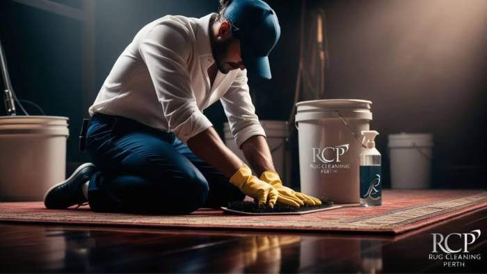Professional rug cleaning in Perth
