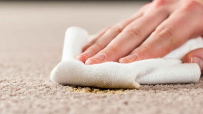 Close-up of a carpet with pet stains, showing tips to understand and remove odors effectively