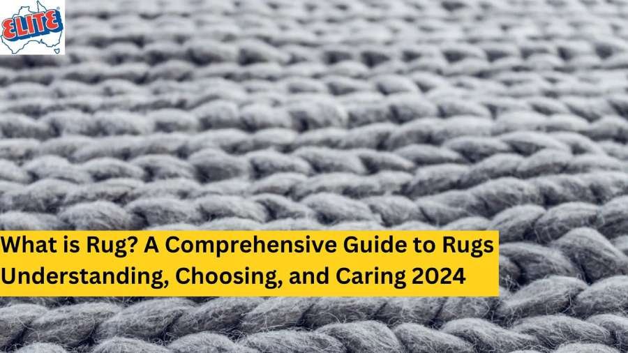 Different types of rugs displayed, showing how to understand, choose, and care for rugs in 2024