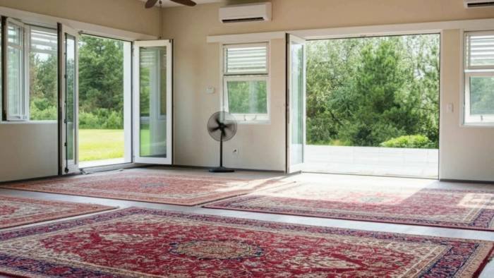 Professional cleaner preparing carpet before deep cleaning for better results
