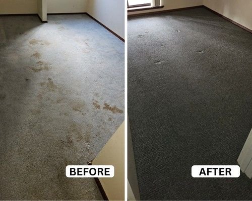 office carpet cleaning perth