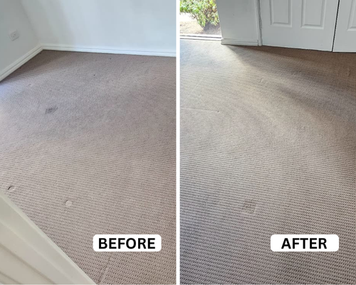 commercial carpet cleaning perth