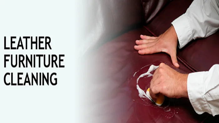 leather-cleaning...
